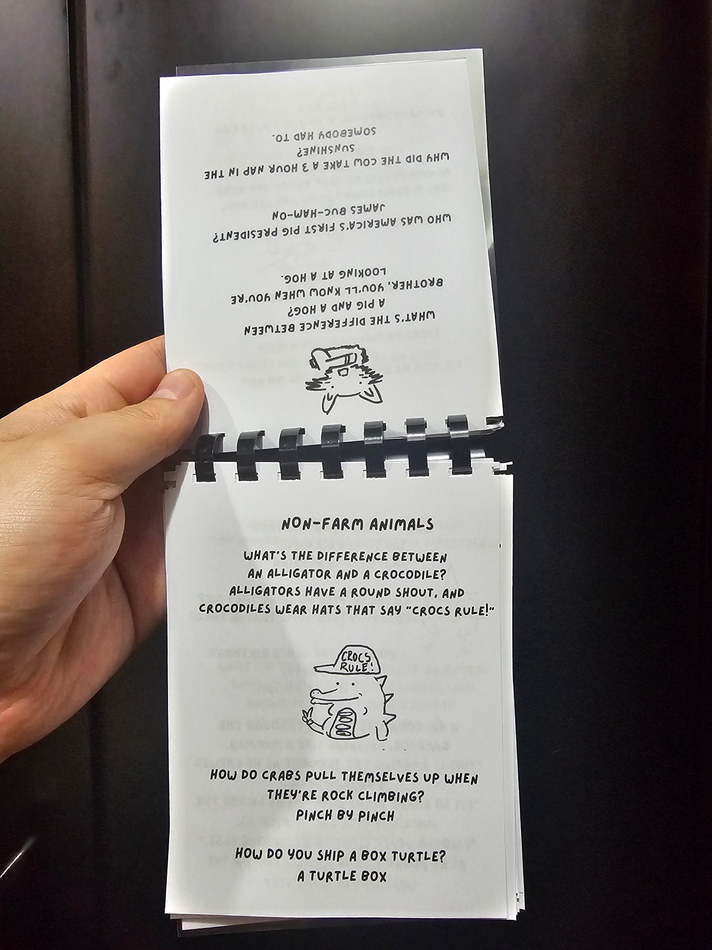 Physical Copy 101 Jokes To Share With Your Friends
